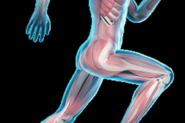 Physiothérapie du sport